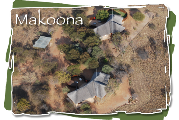 Makoona